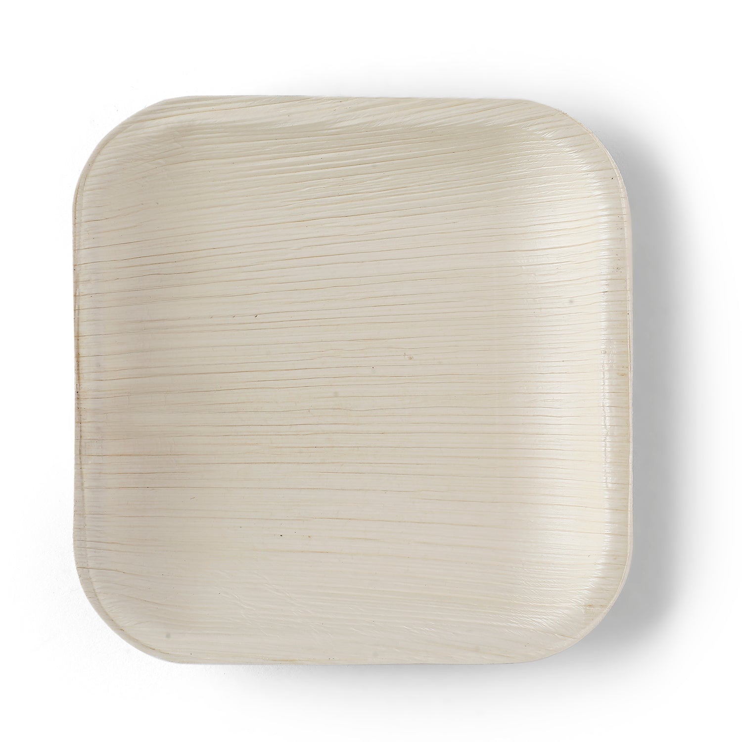 Appetiser Plate (Square-6")- Holiday Gatherings